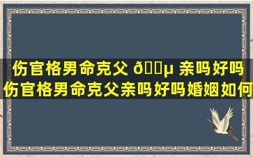 伤官格男命克父 🐵 亲吗好吗（伤官格男命克父亲吗好吗婚姻如何）